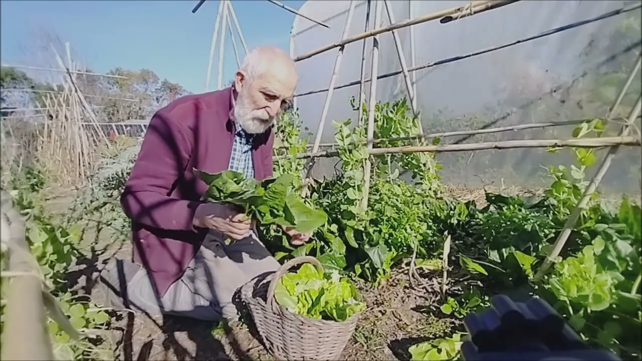 VISITA AL HUERTO EN ENERO