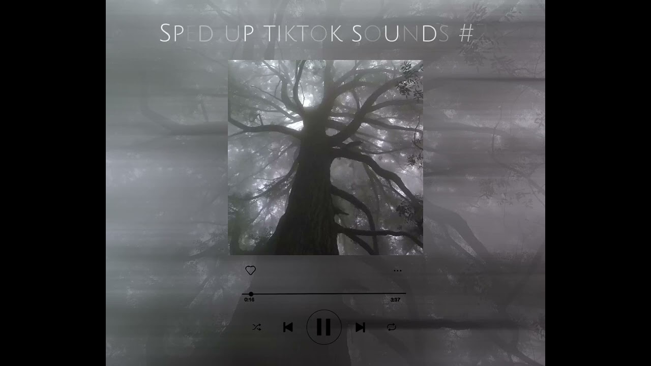 Sped up tiktok sounds #2 🤍