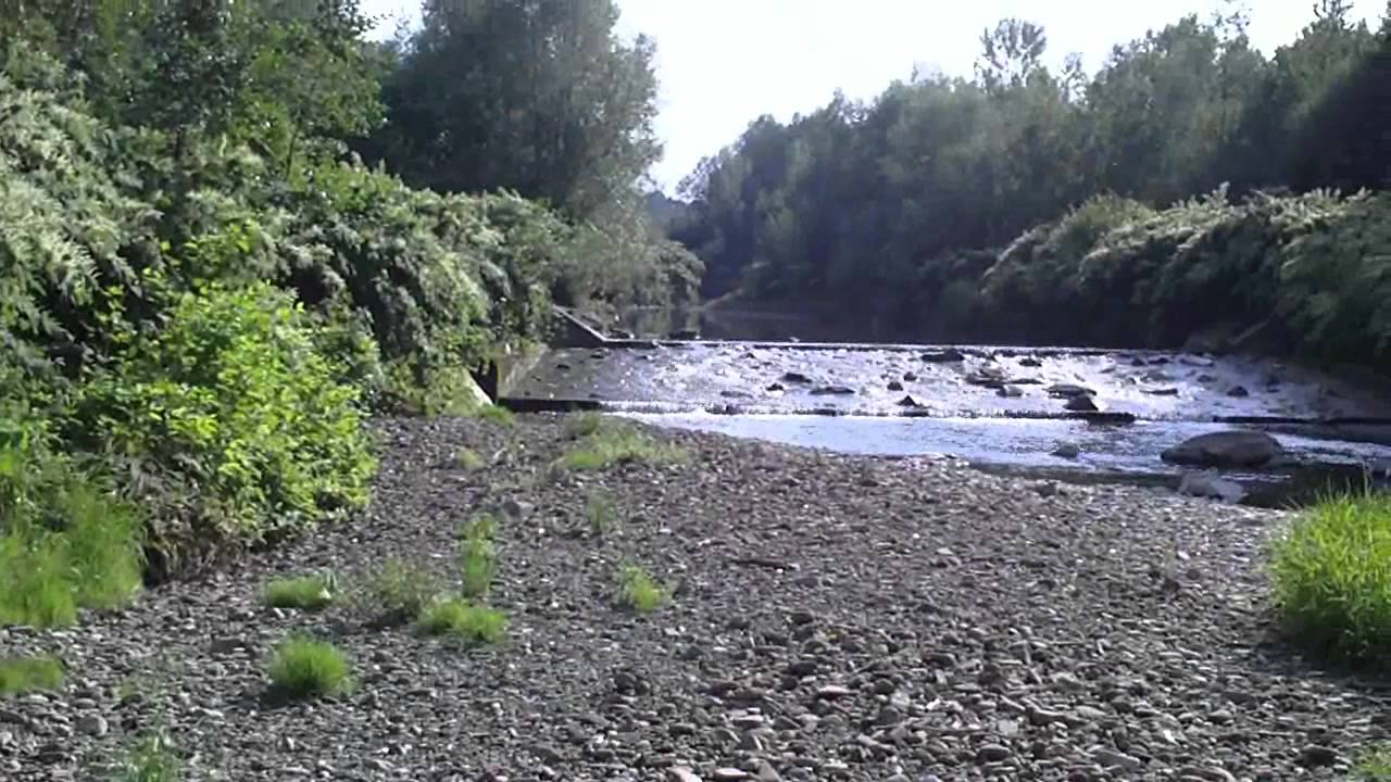 GMINA WIEPRZ