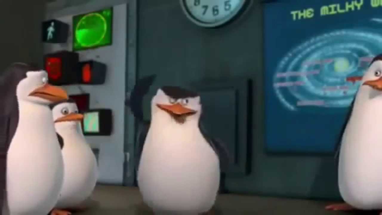 Skipper mówi jak jest o demokracji - Pingwiny z Madagaskaru