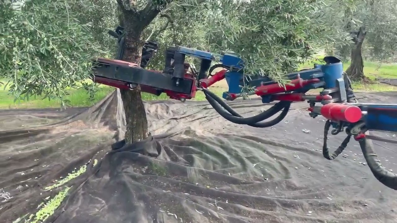 Scuotitore Telescopic Laterale SL 70 - Agrioil di Lomangino Stefano