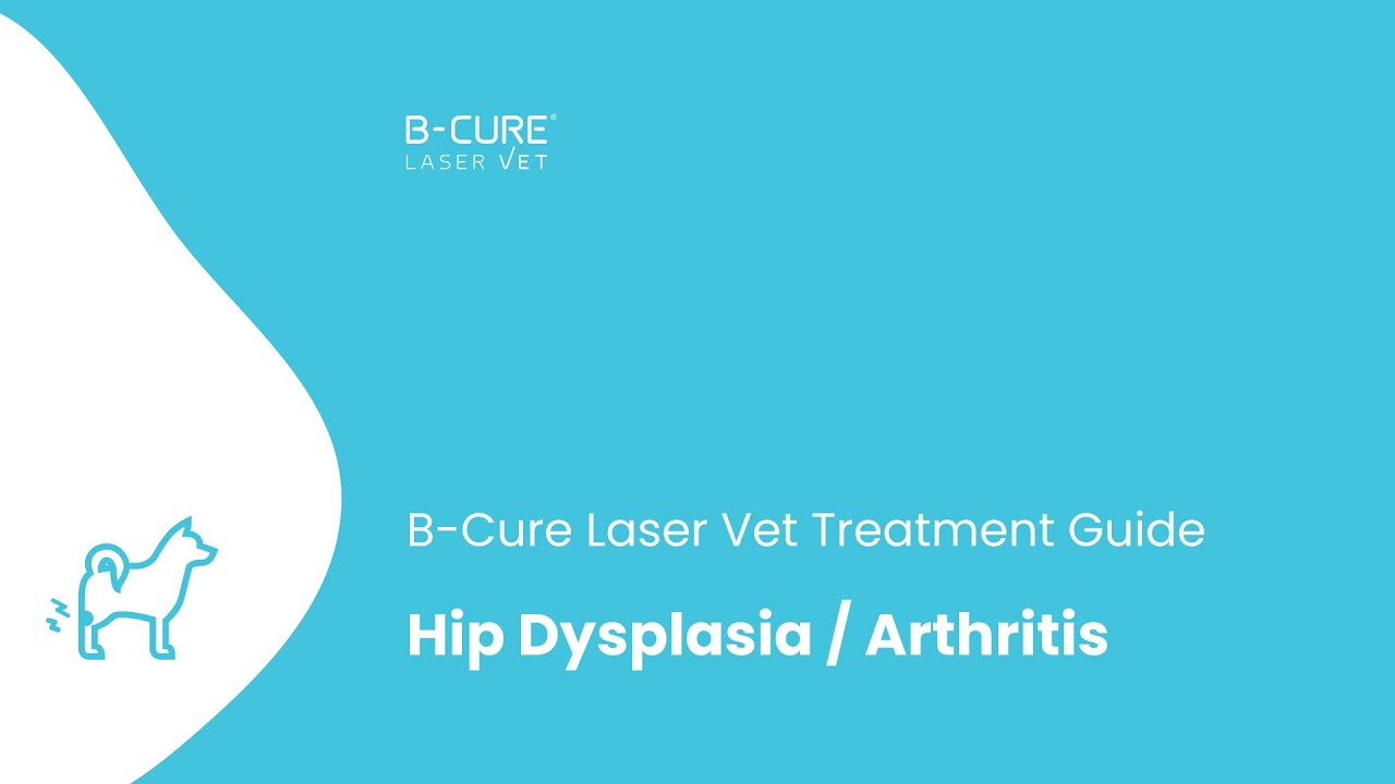 B-Cure Laser Vet Treatment Guide: Hip Dysplasia / Arthritis