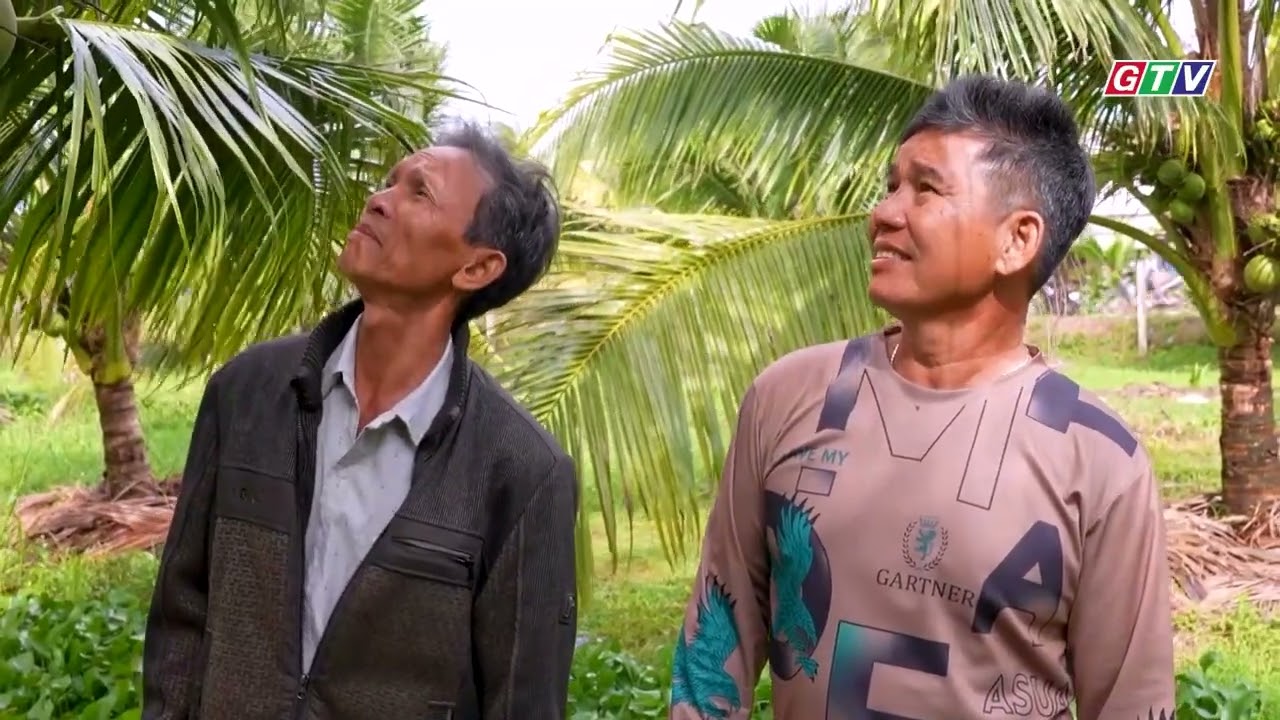 Thời sự GTV trưa ngày 01-02-2026