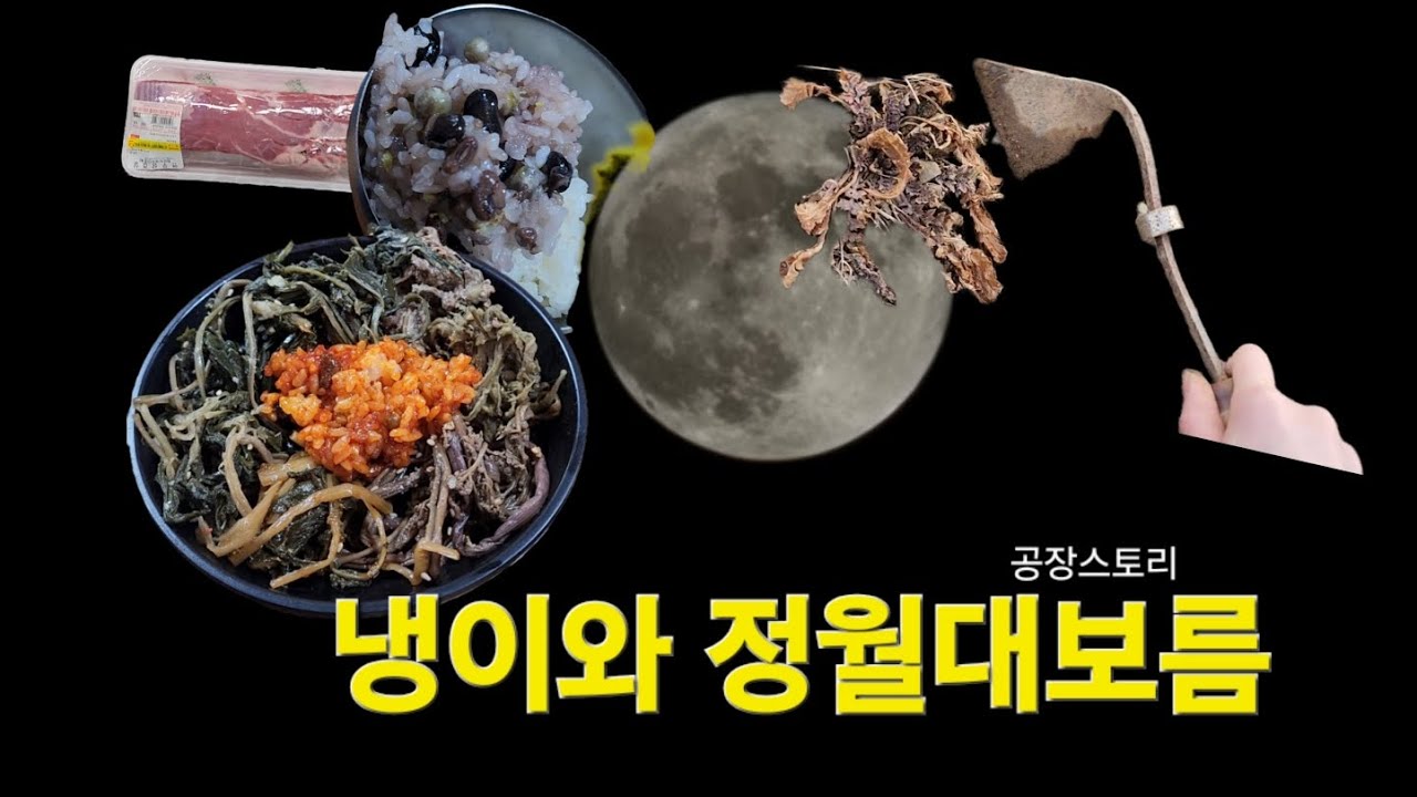 [26년 3월] 냉이 캐다가 정월대보름 🌕 #나물밥 #오곡밥 