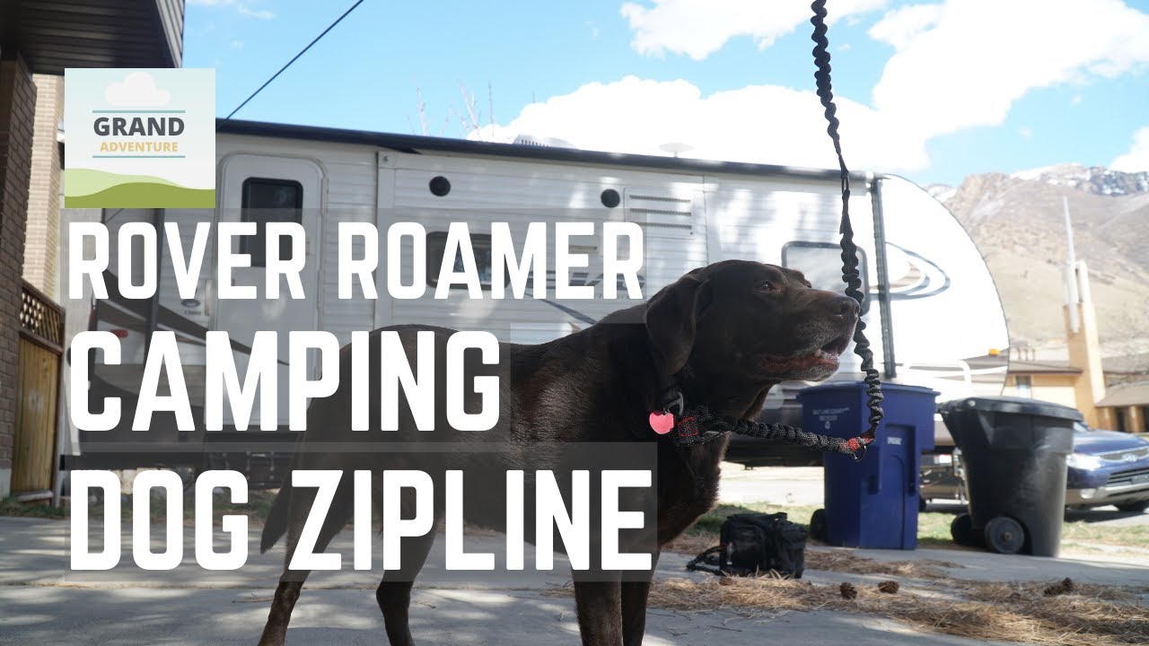 Ep. 142: Rover Roamer Camping Dog Zipline | RV travel tips tricks how-to