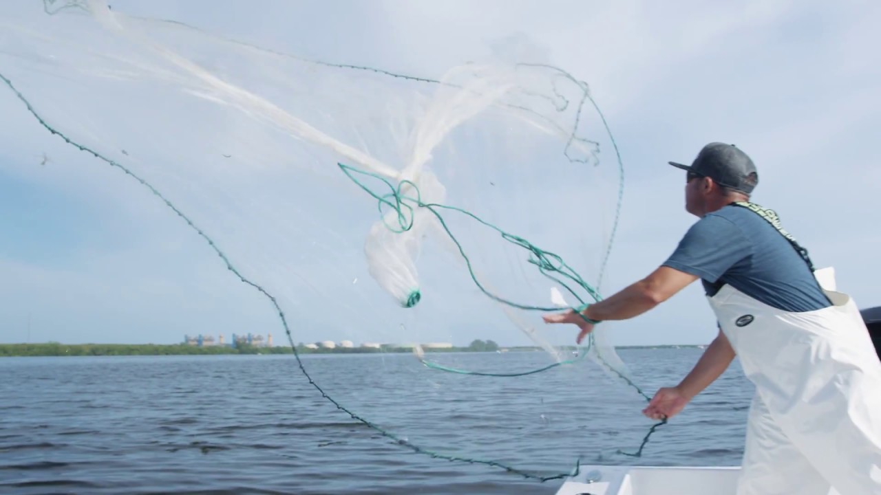 Top 4 Fishing Baits in Tampa Bay
