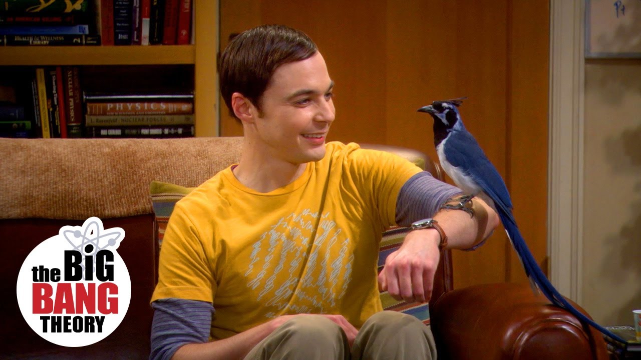 Lovey-Dovey | The Big Bang Theory