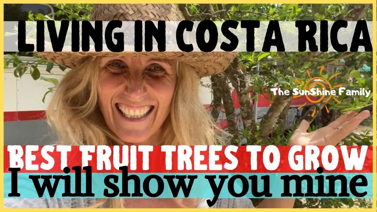 🍎🥭Living In Costa Rica - Permaculture & Best Fruit Trees To Grow 🌴