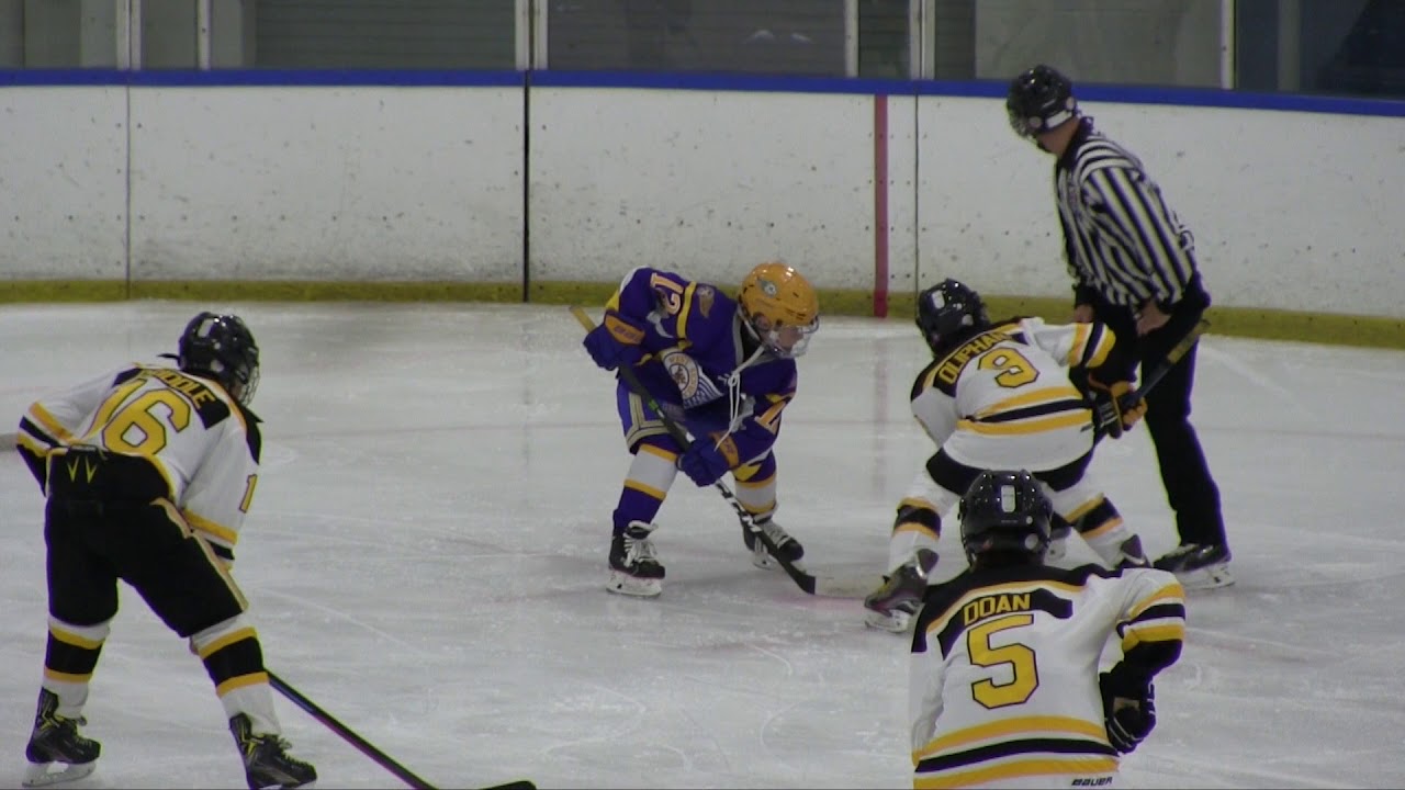 Lambton Jr. Sting Highlights