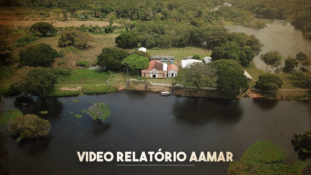 Vídeo Relatório da AAmaR | 2021