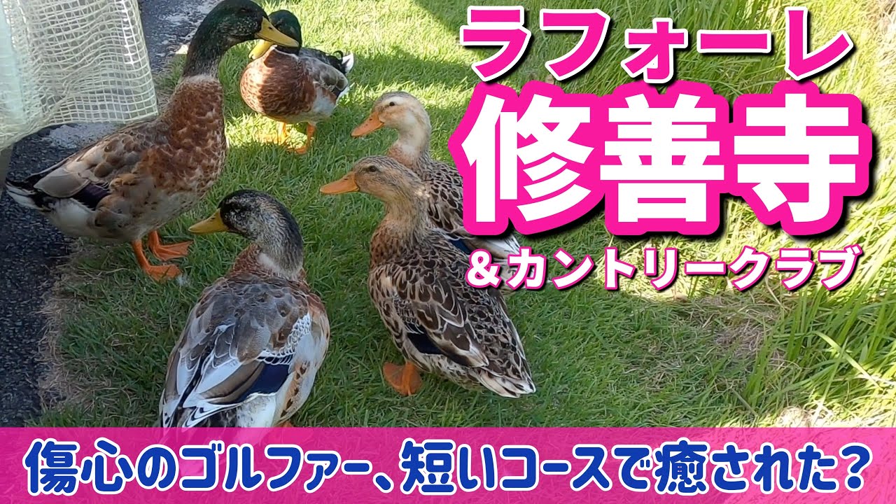 【PAR72 ゴルフラウンド】ゴルフの調子が悪くて、どんどん下手になりそうなので短いコースでスコアを出しに来ました！何とか気分を上げたいと思います！