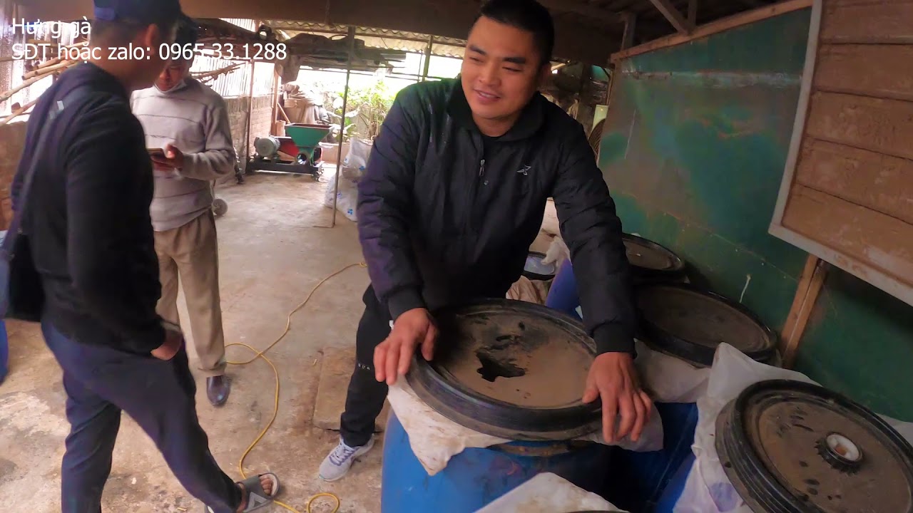 Làm cám hữu cơ chăn lợn đặc sản 1 lãi 1