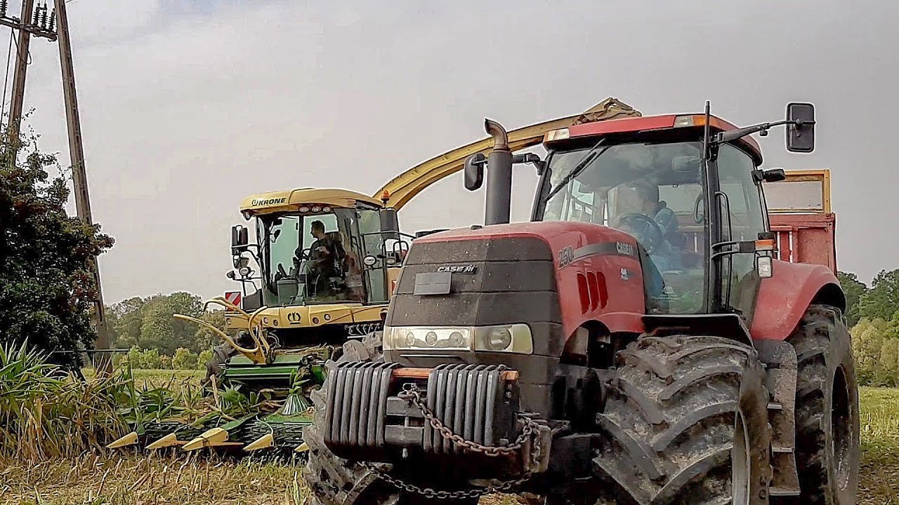 ☆Koszenie kukurydzy 2020☆RolBrat Kuleszczyk🌽Krone BIG x700 | case magnum 250 | John deree 7530p☆