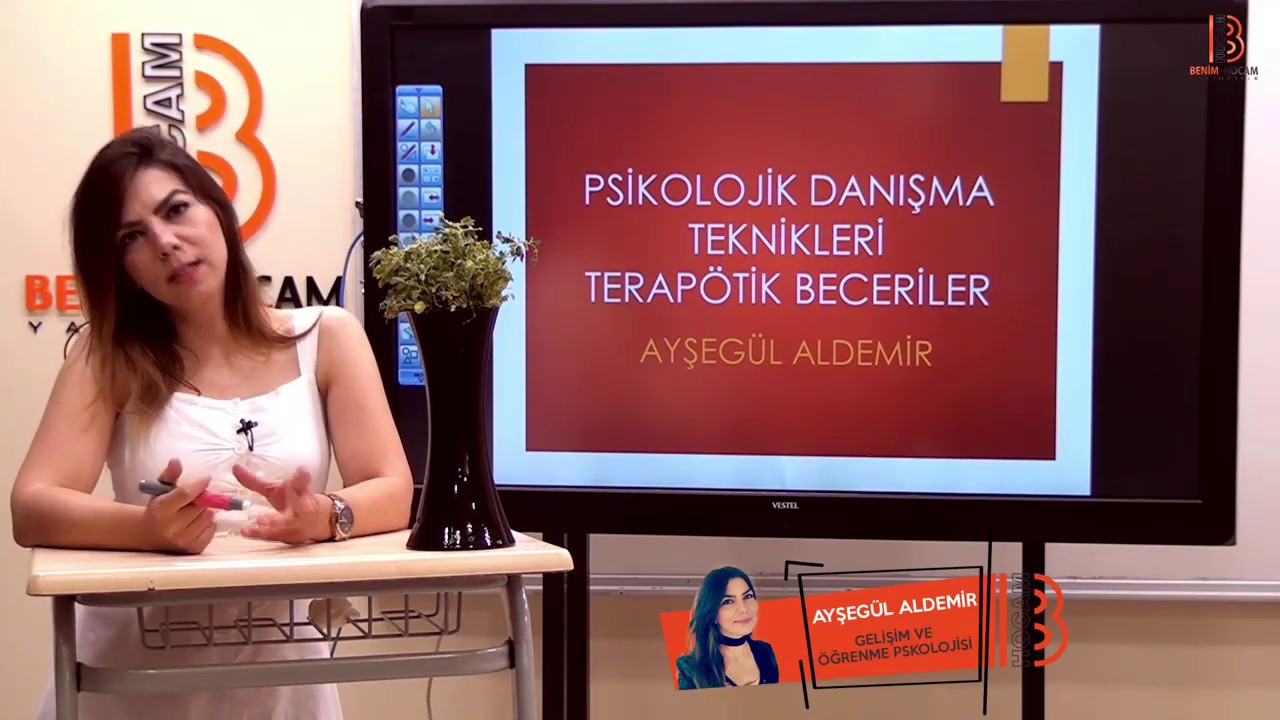 1)AYŞEGÜL ALDEMİR -Terapotik Teknikler - I (ÖABT-PDR)2019
