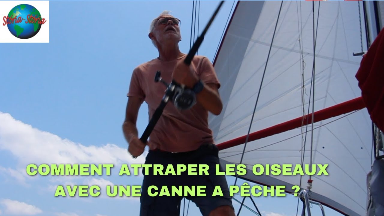 Poisson ou Oiseau ? Traversée vers le Guatémala et entrée du Rio Dulce. SV Storia Storia. Vlog 93
