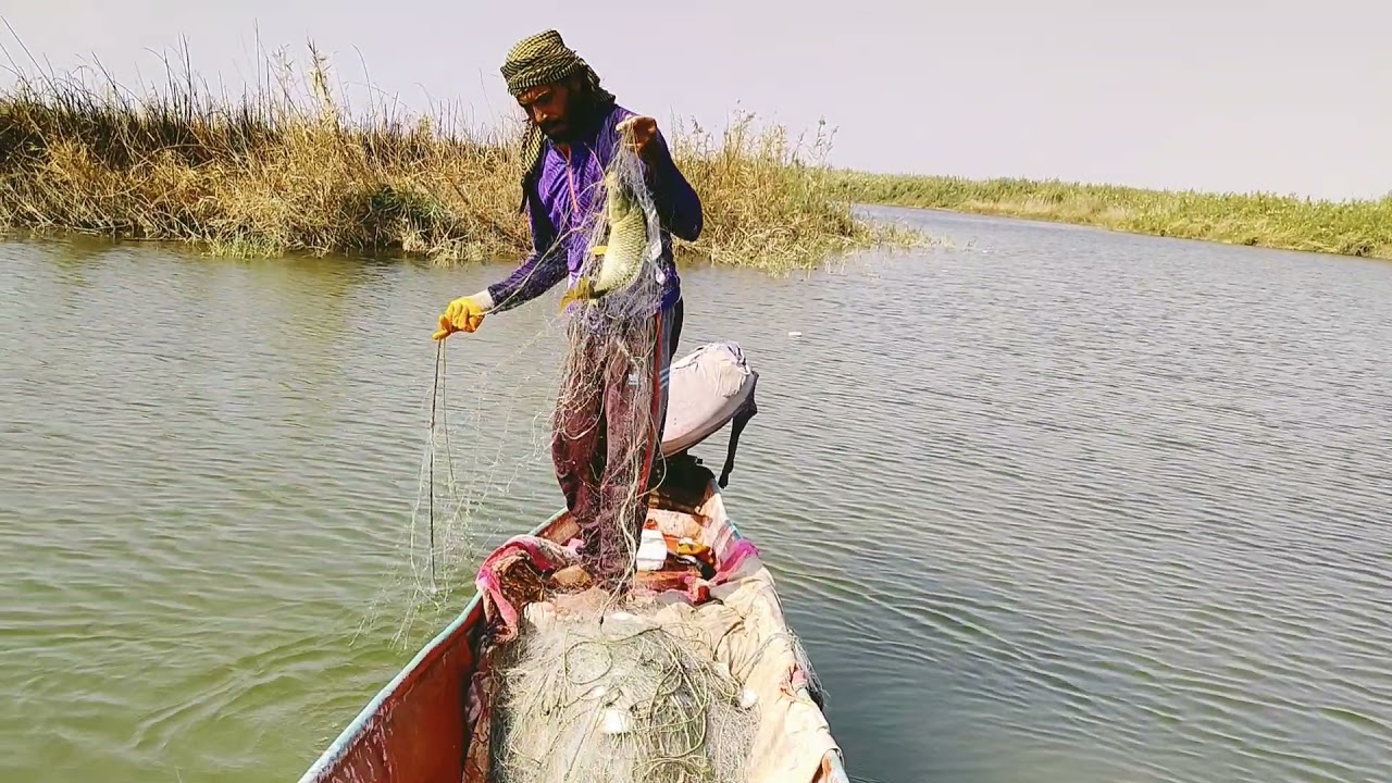 صيد السمك الكاريبي في شبج ثميني