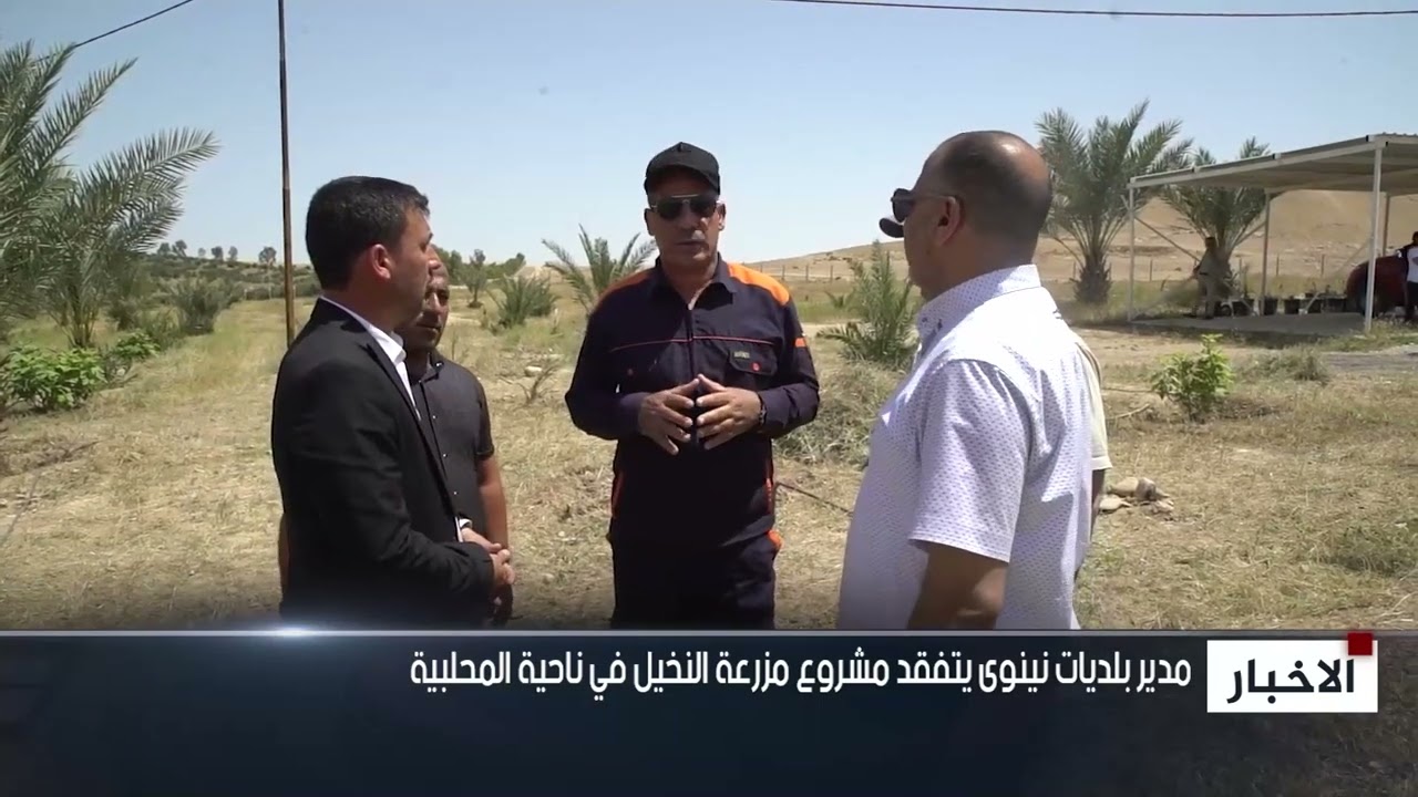 مدير بلديات نينوى يتفقد مشروع مزرعة النخيل في ناحية المحلبية