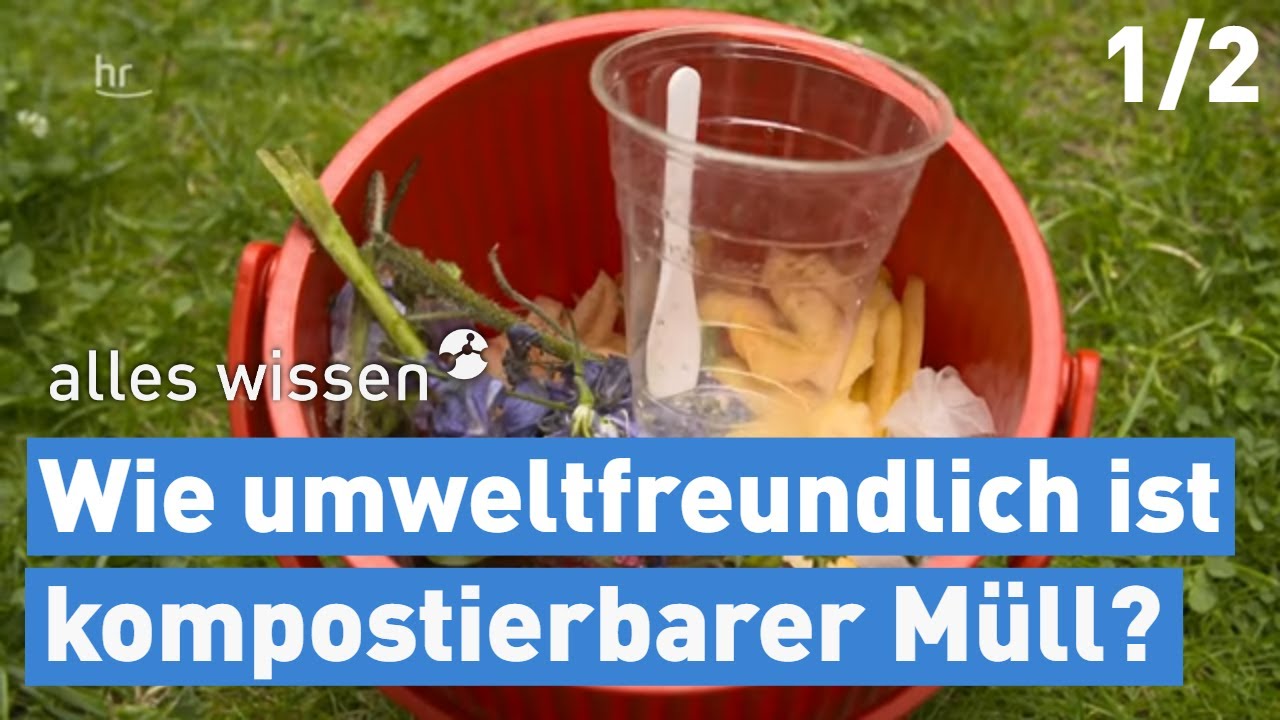 Wie umweltfreundlich sind kompostierbare Verpackungen? | alles wissen | 1/2