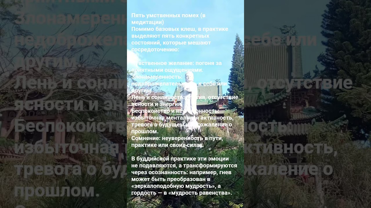 25 февраля 2026 г.