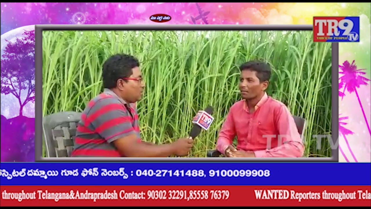 THE VILLAGE SONG ||మా పల్లె పాట: కళాకారుడు ఒగ్గు సంపత్ తో TR9TV ప్రతినిధి నాగరాజు||TR9 TV