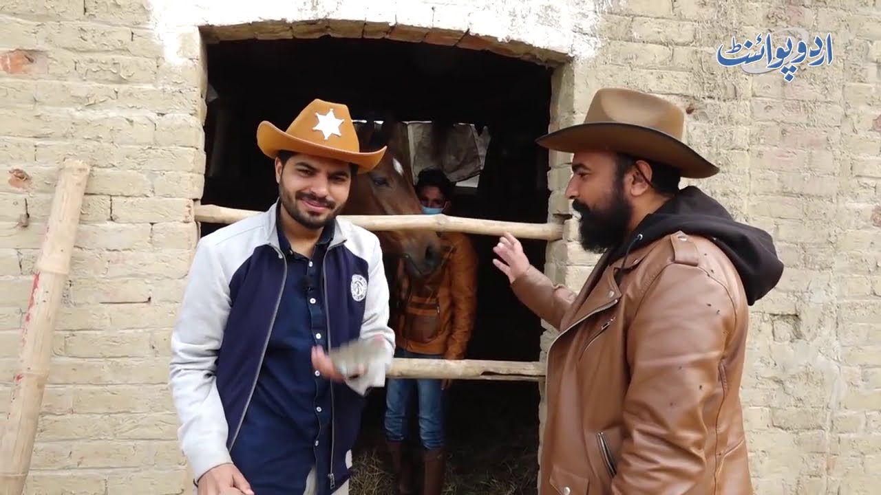 learn about horses and horse riding in lahore