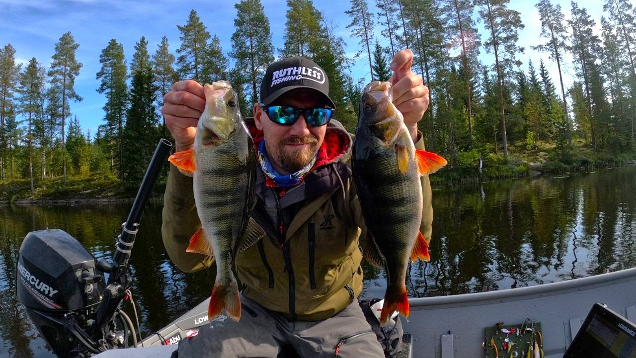 VIIMEINEN MAHDOLLISUUS UUDELLE JÄRVELLE! KIRKAS JA KARU MUIKKUJÄRVI!