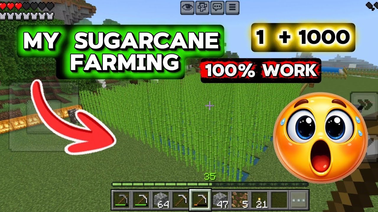 Minecraft Best And Simpal Sugarcane Farming 100% Work New Video 2026