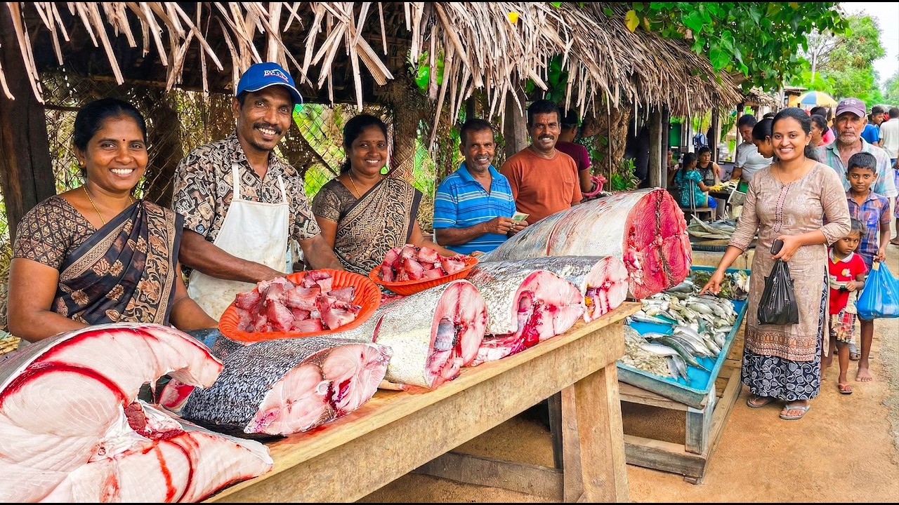 Wow! Sri Lanka's Village Fish Market Silent Partners Day Life of Local Fishmongers