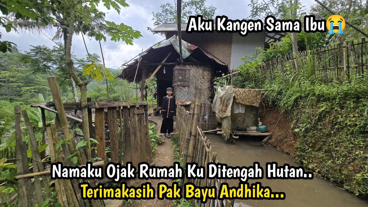 SANGAT PEMBERANI.. JUMPA BOCAH YATIM HIDUP SEDERHANA DI TENGAH HUTAN JAUH KEMANA MANA