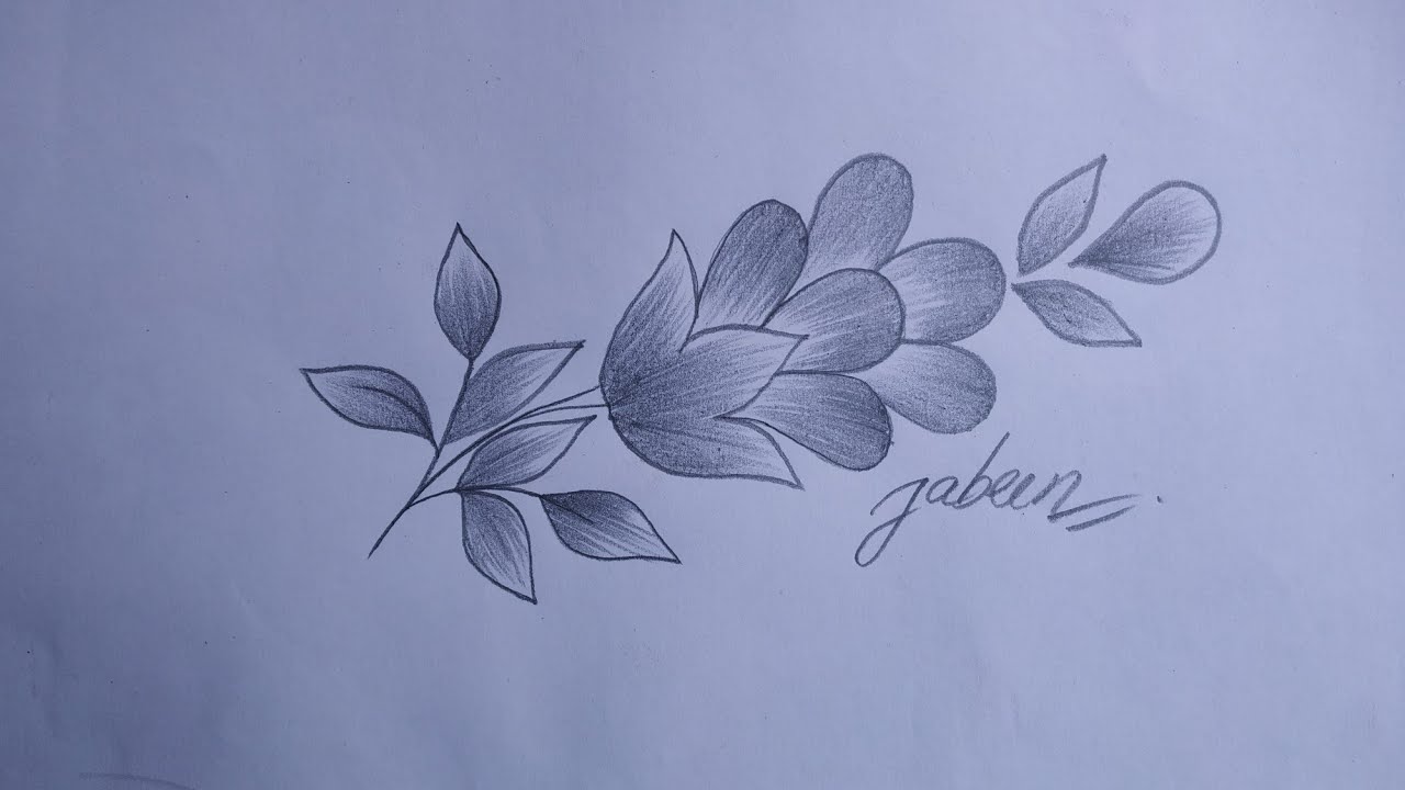How to draw flowers step by step |beautiful flowers drawing |  pencil flowers drawing