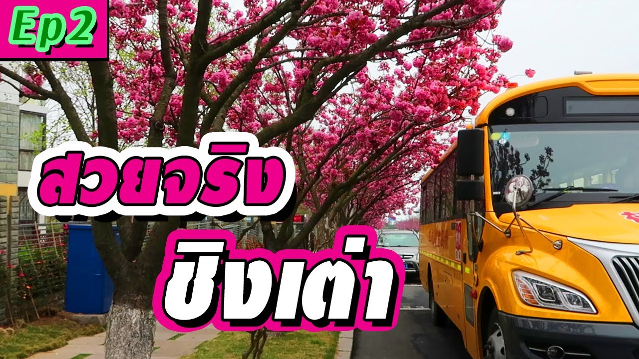 ชิงเต่า Ep.2 เที่ยวเพลิน ชิงเต่า - ท่องเที่ยวประเทศจีน สวยจริงอ่ะ! | LifeDD