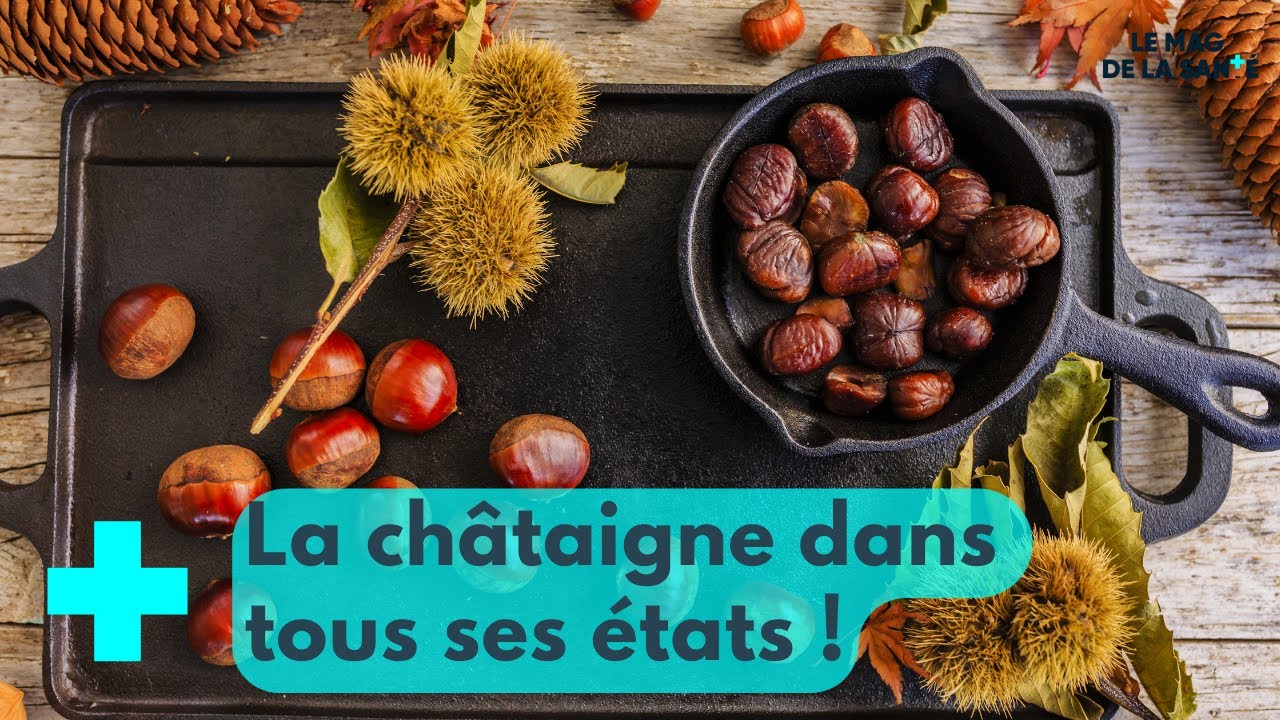 Deux recettes originales avec la châtaigne ! - Le Mag de la Santé