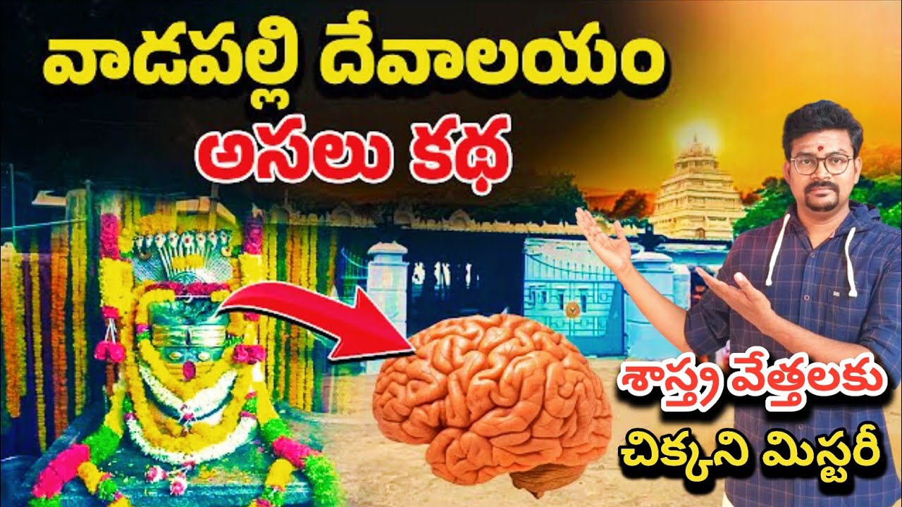 వాడపల్లి శివాలయం అసలు కథ 🔱🕉️ || #vadapally Sri Agasteswaralayam Special Story | #vadapallyshivalayam