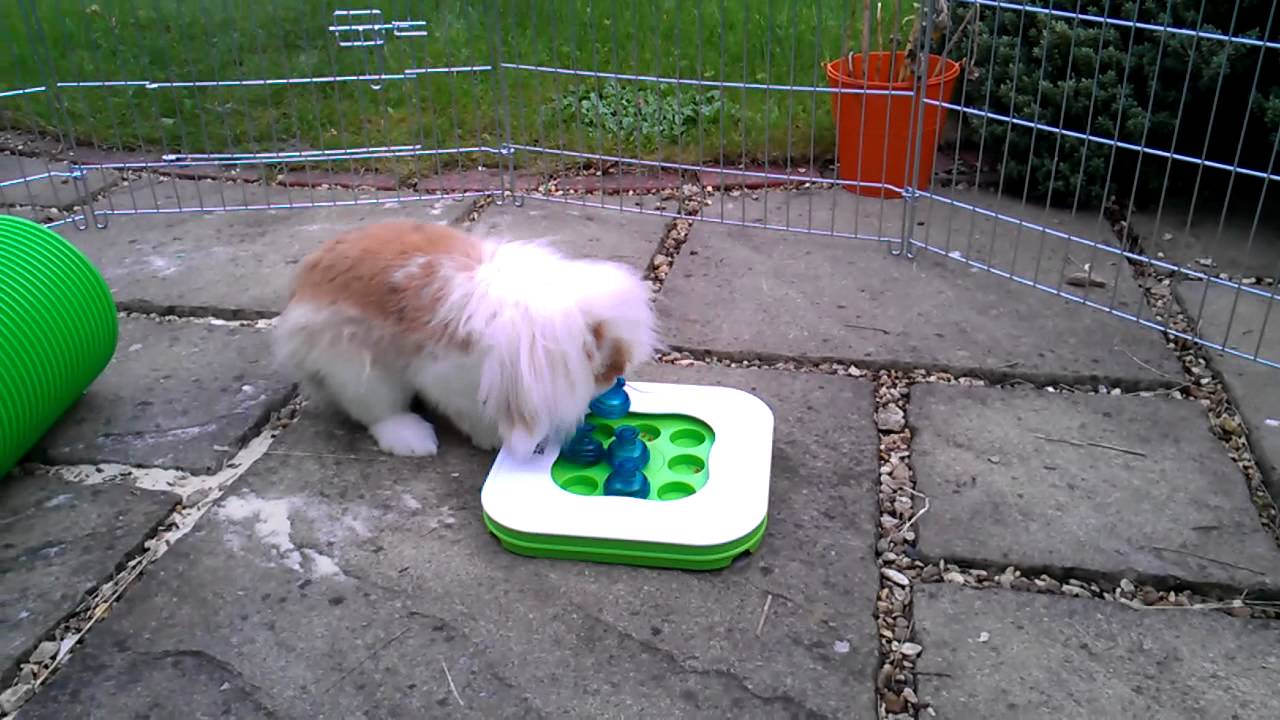 HTC Titan Windows Phone 720p HD video sample