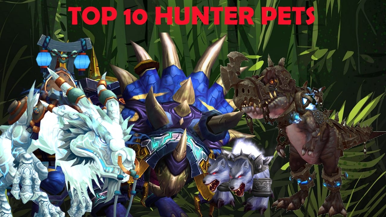 Топ-10 питомцев охотников в WoW