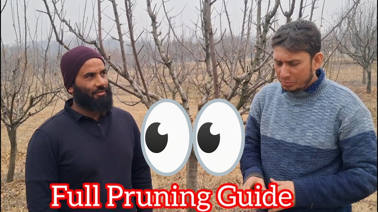 Pruning Kah Hai detailed explanation 👌 