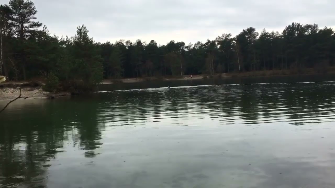 Skovs&oslash;ens lyde, Lydbillede