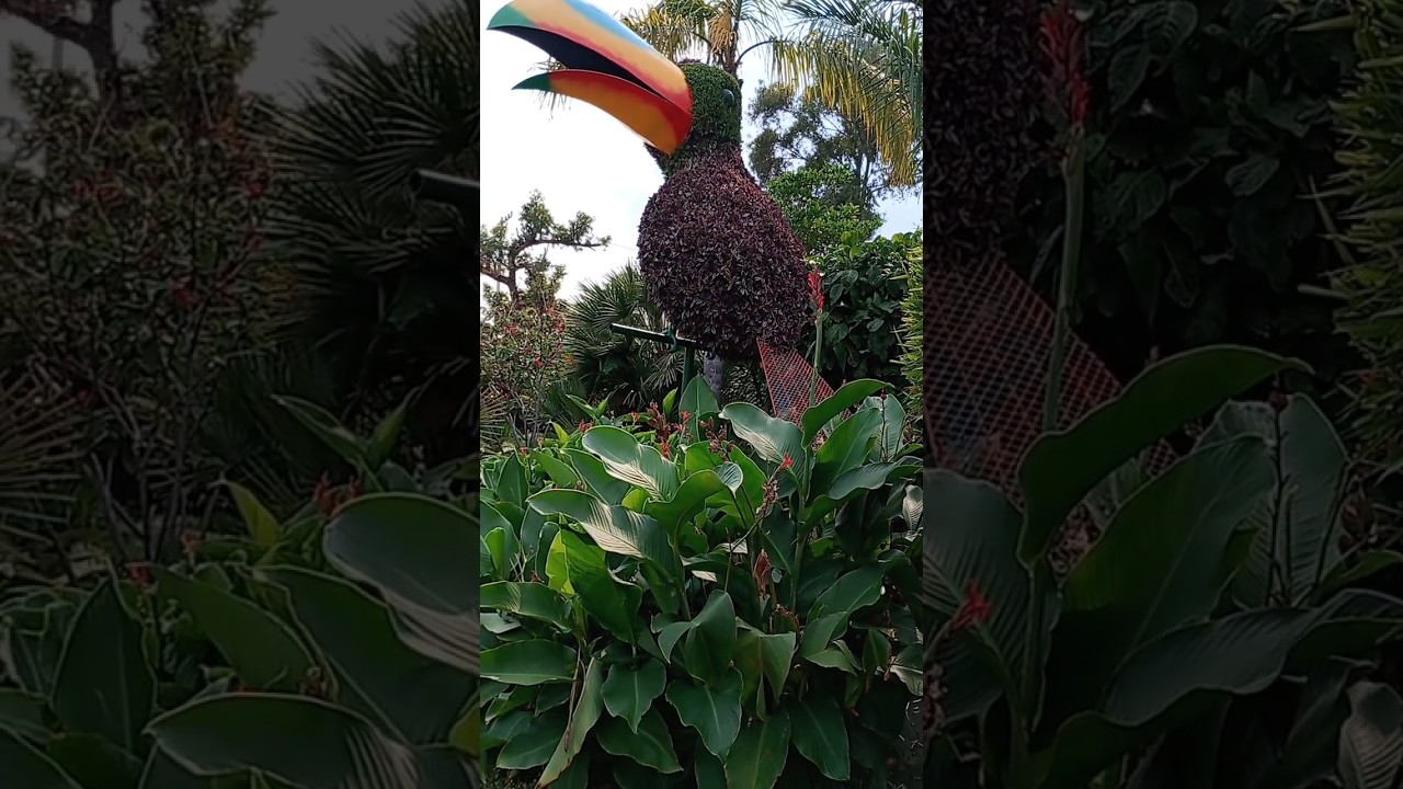 #jardin