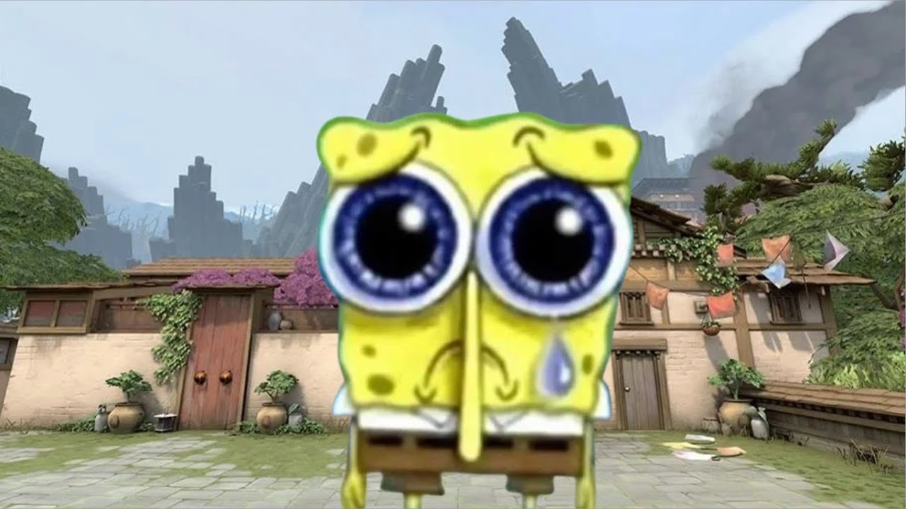 This video sucks