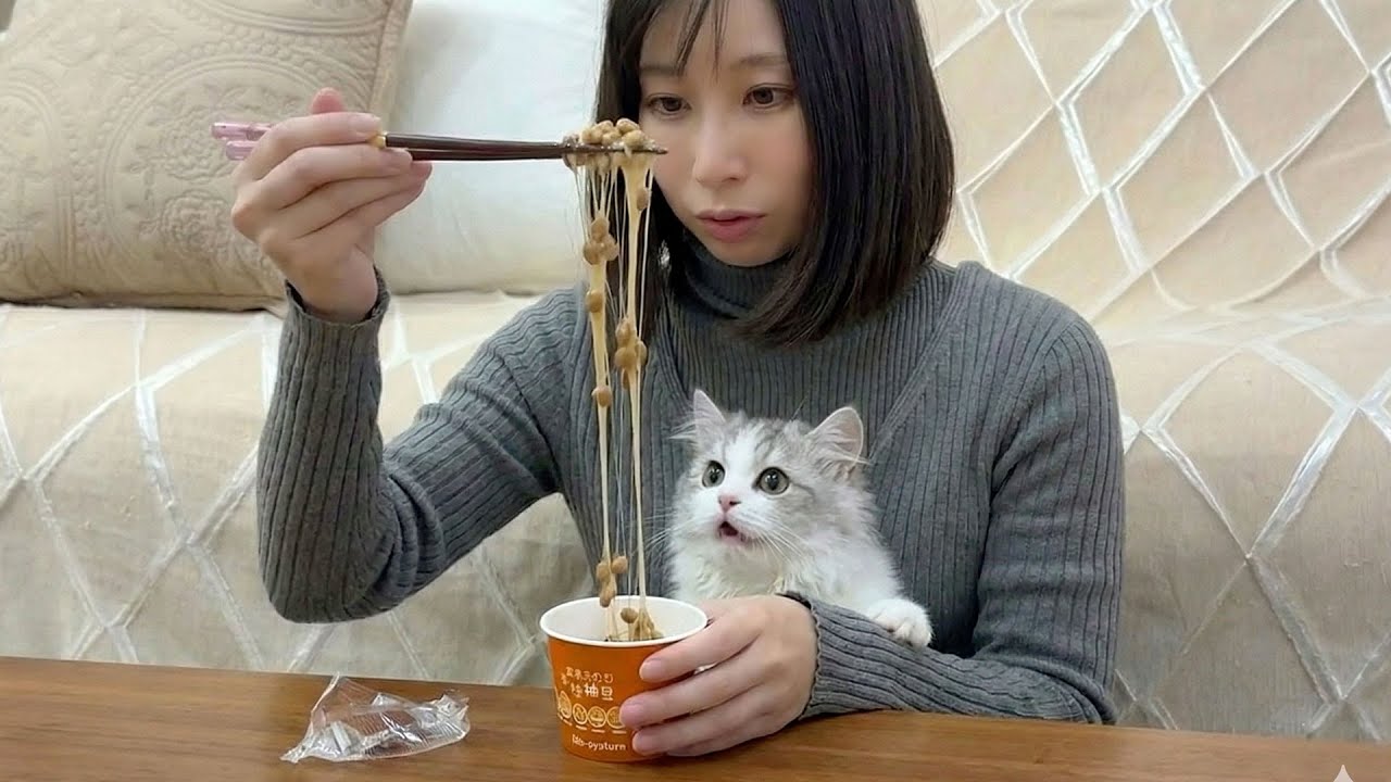 生まれて初めて納豆を見た子猫に納豆をあげたらこうなった…w