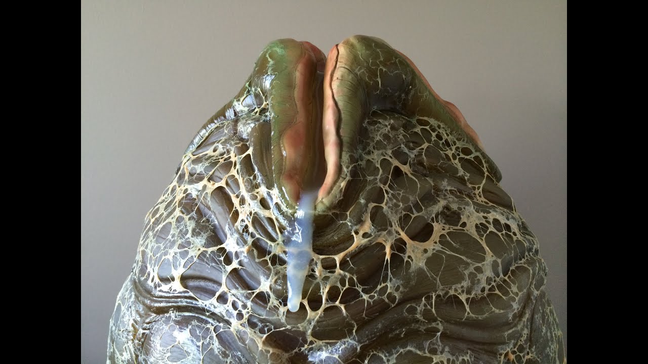 Sideshow Collectibles - Alien Egg