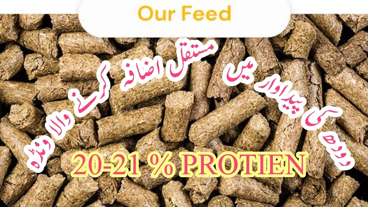 COWS AND BUFFALOES MILK WANDA || 20-21 % PROTIEN || F&F || MASH WANDA