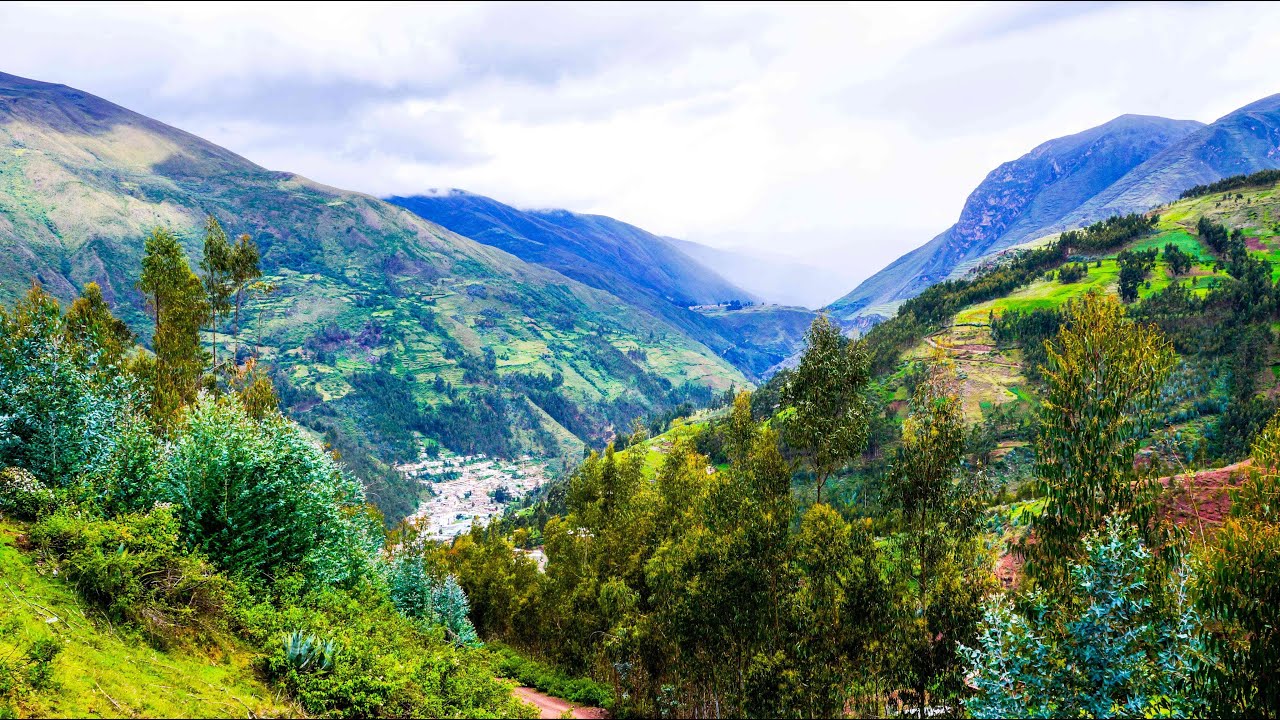 BOSQUE- HUARIACA PASCO-PERU
