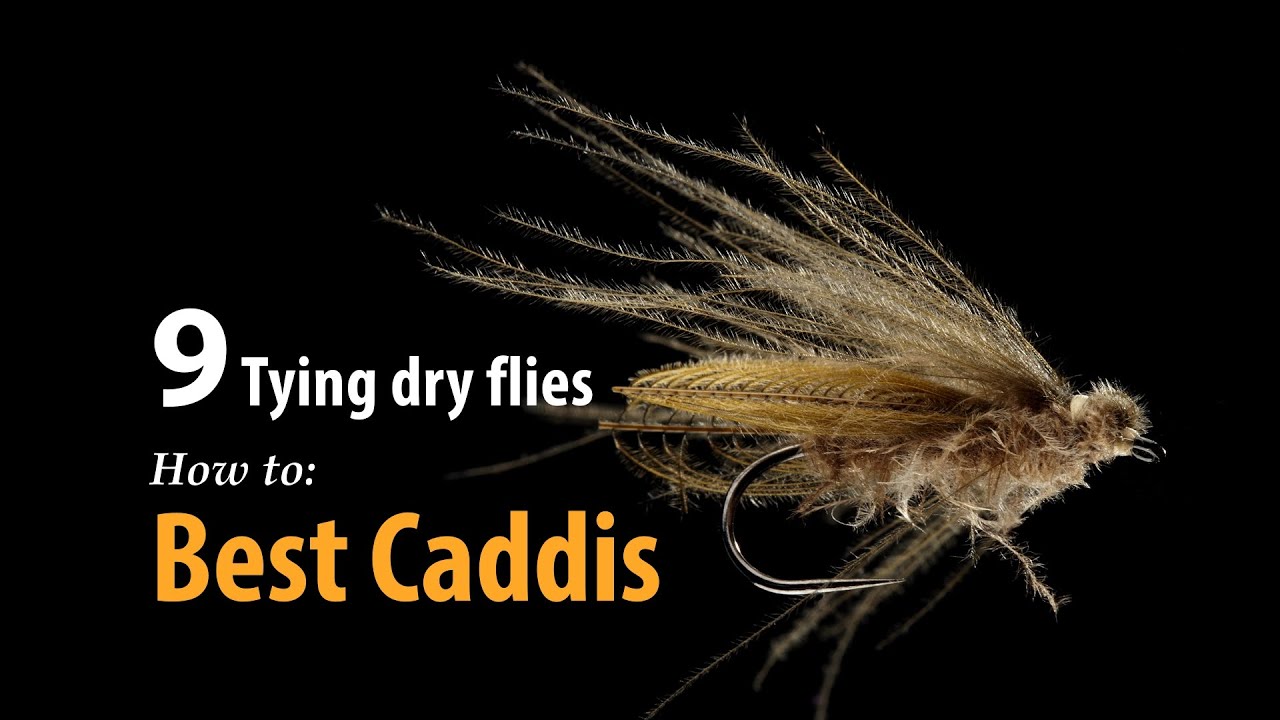 How to • Fly tying • Best Caddis • fishing tips