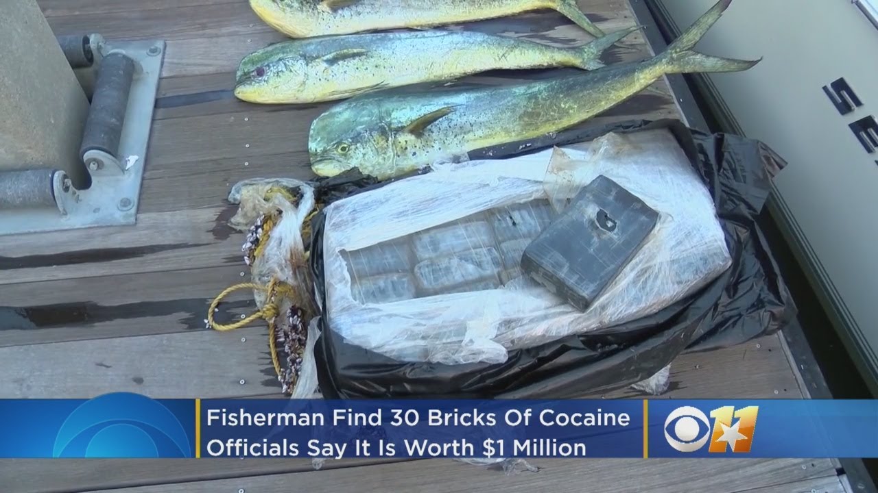 Fishermen Find 30 Bricks Of Cocaine