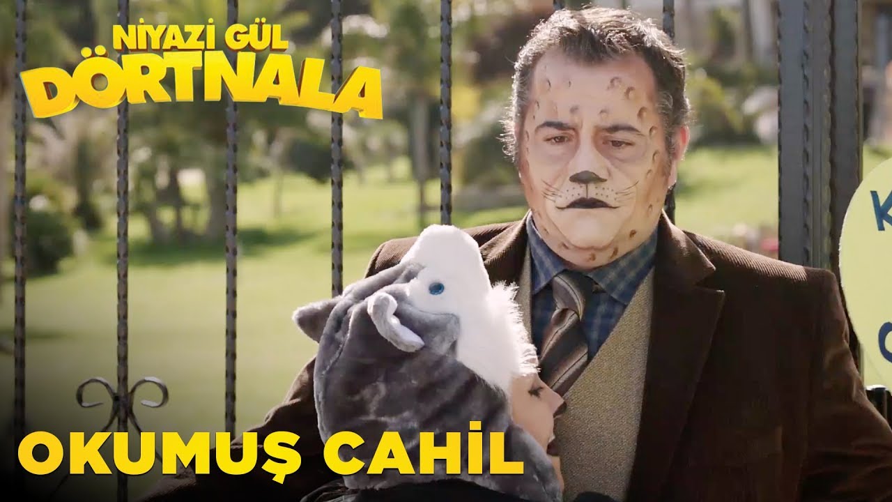 Niyazi Gül Dört Nala | Okumuş Cahil