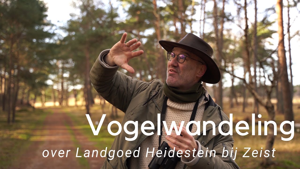 Vogelwandeling over Landgoed Heidestein #842