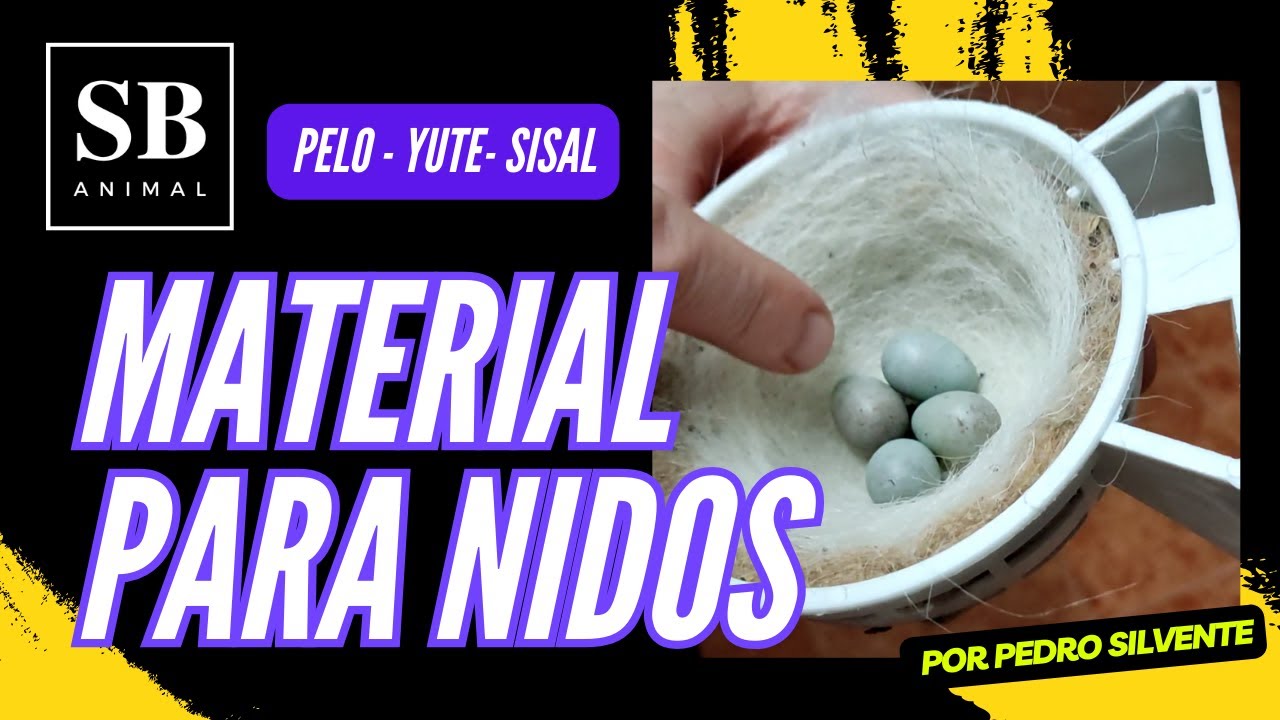 material nidos