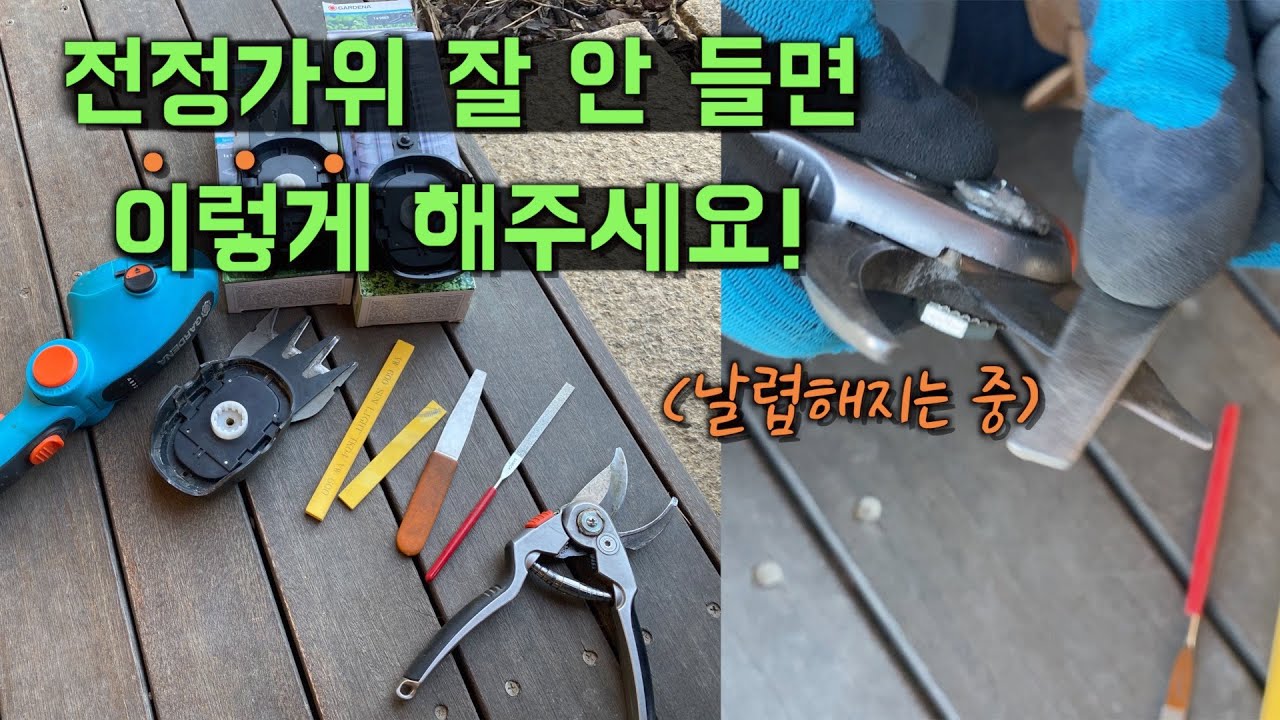 이오가 전정 가위 ✂️를 관리하는 방법! | 샤프너로 전정가위 날카롭게 갈기