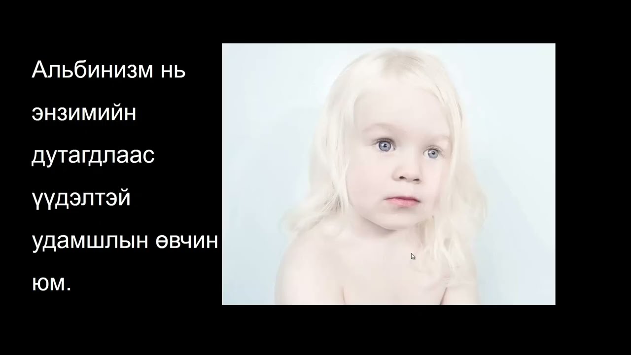 Биологийн хичээл №12 Энзимийн хэрэглээ, саатуулагч болон идэвхжүүлэгч